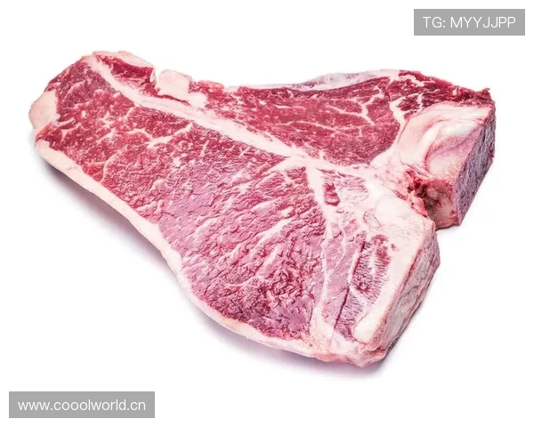 拉菲尼亚家的狗都吃有机牛排