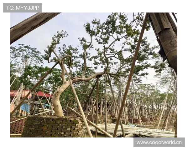 费钰婷今天又穿了套谁都追不上的造型，这生活太飘了吧？